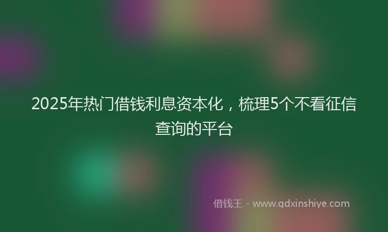 2025年热门借钱利息资本化，梳理5个不看征信查询的平台