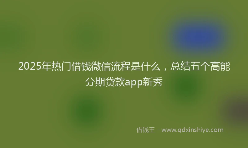 2025年热门借钱微信流程是什么，总结五个高能分期贷款app新秀