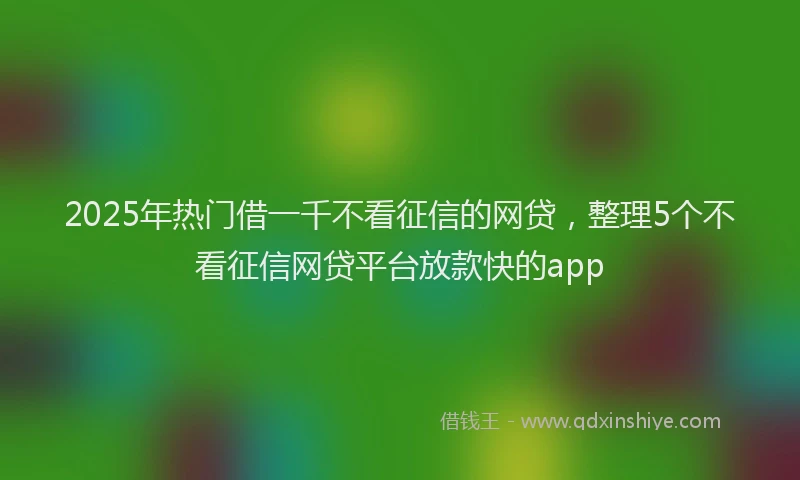 2025年热门借一千不看征信的网贷，整理5个不看征信网贷平台放款快的app