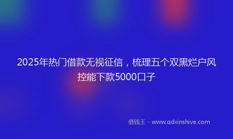 2025年热门借款无视征信，梳理五个双黑烂户风控能下款5000口子