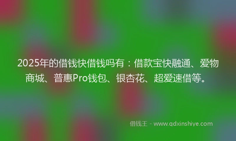 2025年的借钱快借钱吗有：借款宝快融通、爱物商城、普惠Pro钱包、银杏花、超爱速借等。