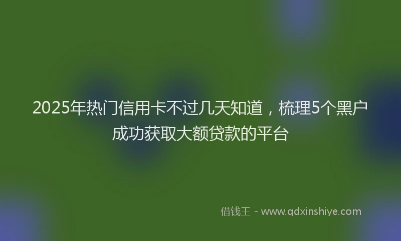 2025年热门信用卡不过几天知道，梳理5个黑户成功获取大额贷款的平台