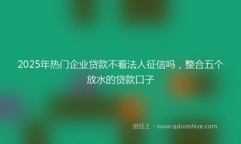 2025年热门企业贷款不看法人征信吗，整合五个放水的贷款口子