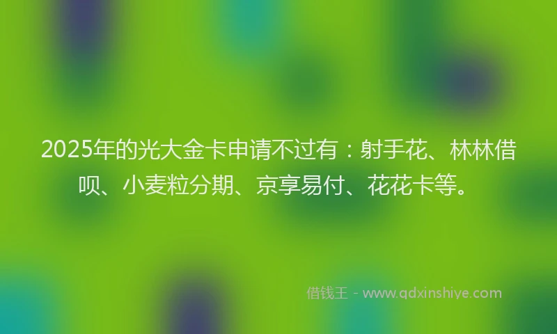 2025年的光大金卡申请不过有：射手花、林林借呗、小麦粒分期、京享易付、花花卡等。