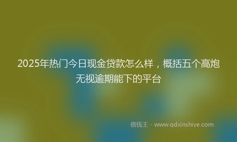 2025年热门今日现金贷款怎么样，概括五个高炮无视逾期能下的平台