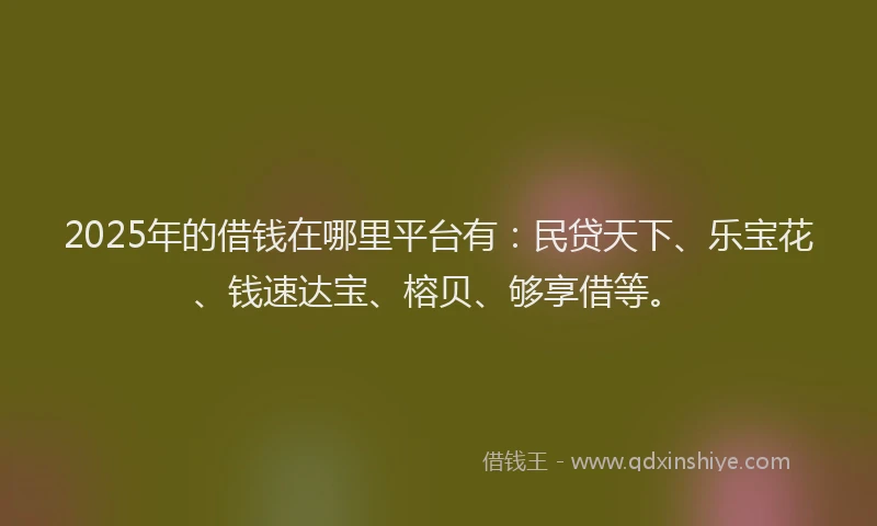 2025年的借钱在哪里平台有：民贷天下、乐宝花、钱速达宝、榕贝、够享借等。