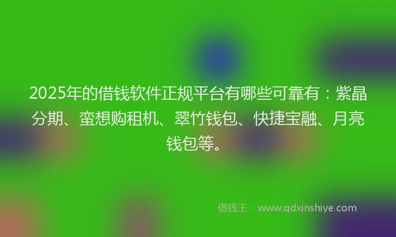 2025年的借钱软件正规平台有哪些可靠有：紫晶分期、蛮想购租机、翠竹钱包、快捷宝融、月亮钱包等。