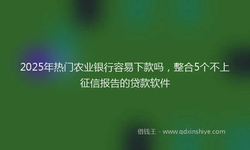 2025年热门农业银行容易下款吗，整合5个不上征信报告的贷款软件