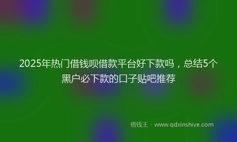 2025年热门借钱呗借款平台好下款吗，总结5个黑户必下款的口子贴吧推荐
