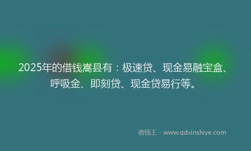2025年的借钱嵩县有：极速贷、现金易融宝盒、呼吸金、即刻贷、现金贷易行等。