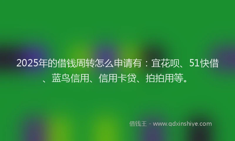 2025年的借钱周转怎么申请有：宜花呗、51快借、蓝鸟信用、信用卡贷、拍拍用等。