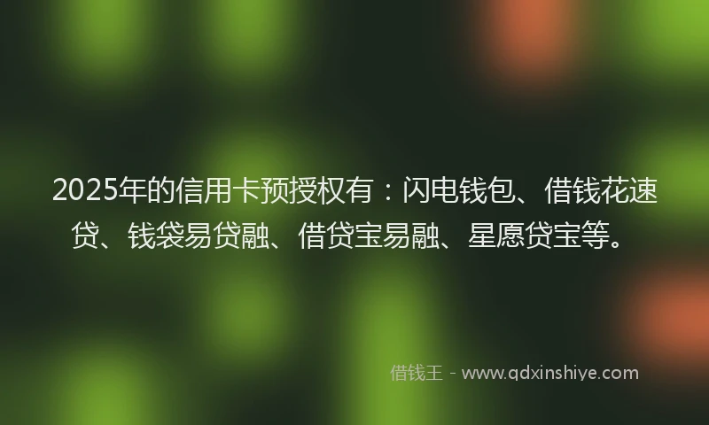 2025年的信用卡预授权有：闪电钱包、借钱花速贷、钱袋易贷融、借贷宝易融、星愿贷宝等。