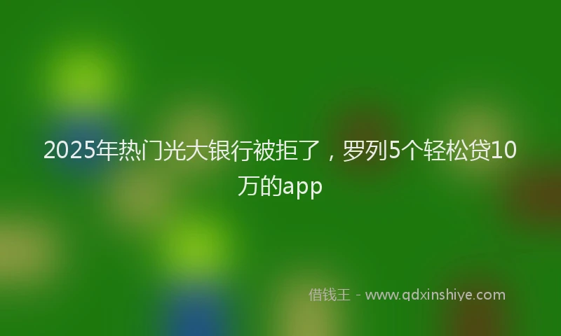 2025年热门光大银行被拒了，罗列5个轻松贷10万的app