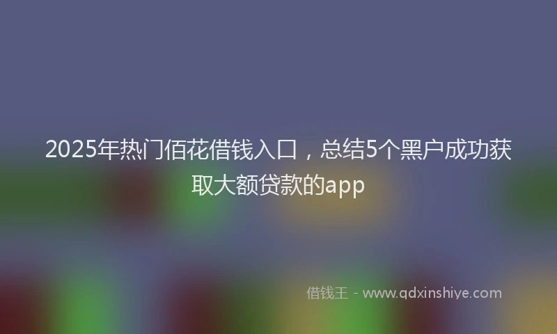 2025年热门佰花借钱入口，总结5个黑户成功获取大额贷款的app