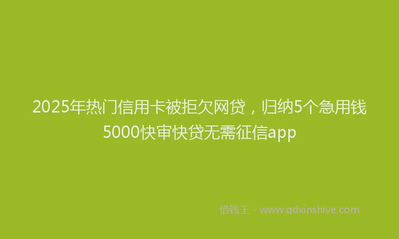 2025年热门信用卡被拒欠网贷，归纳5个急用钱5000快审快贷无需征信app