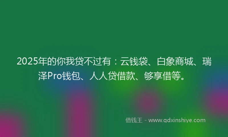 2025年的你我贷不过有：云钱袋、白象商城、瑞泽Pro钱包、人人贷借款、够享借等。