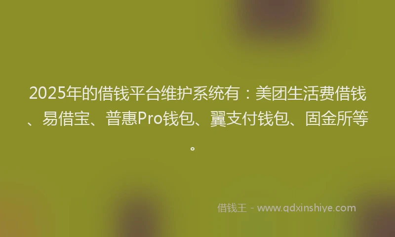 2025年的借钱平台维护系统有：美团生活费借钱、易借宝、普惠Pro钱包、翼支付钱包、固金所等。