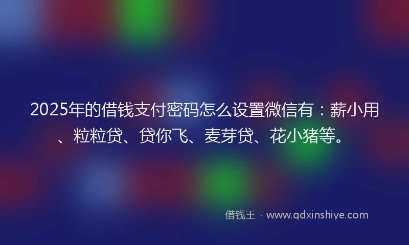 2025年的借钱支付密码怎么设置微信有：薪小用、粒粒贷、贷你飞、麦芽贷、花小猪等。