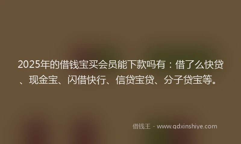 2025年的借钱宝买会员能下款吗有：借了么快贷、现金宝、闪借快行、信贷宝贷、分子贷宝等。