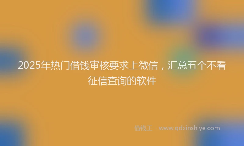 2025年热门借钱审核要求上微信，汇总五个不看征信查询的软件