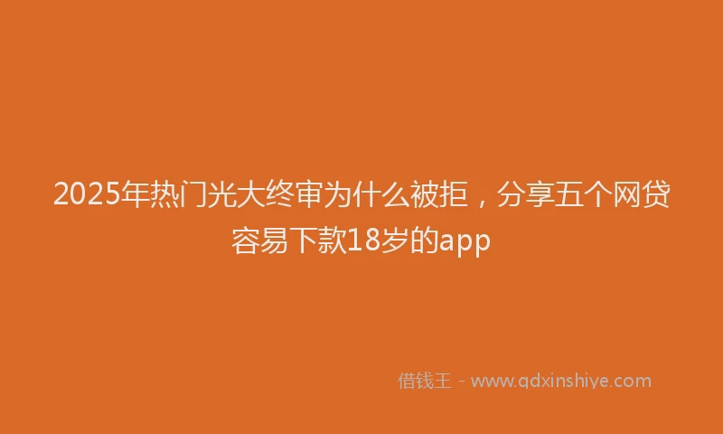 2025年热门光大终审为什么被拒，分享五个网贷容易下款18岁的app