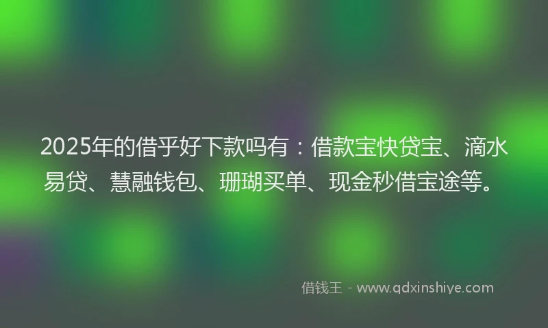 2025年的借乎好下款吗有：借款宝快贷宝、滴水易贷、慧融钱包、珊瑚买单、现金秒借宝途等。