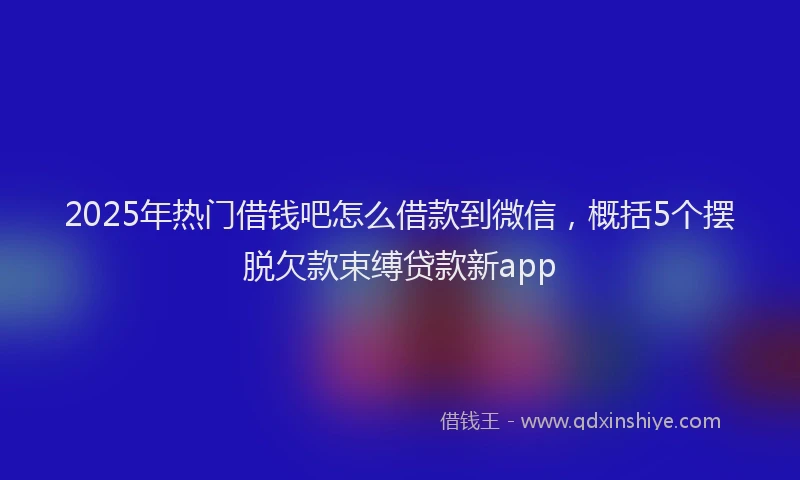 2025年热门借钱吧怎么借款到微信，概括5个摆脱欠款束缚贷款新app