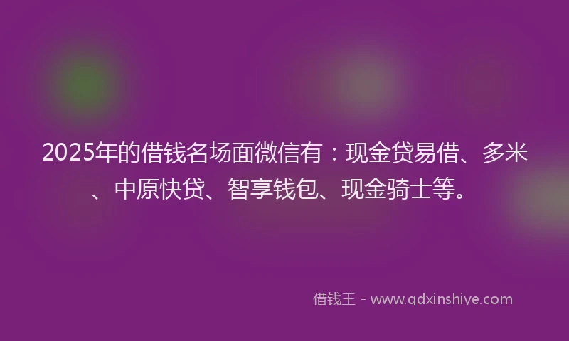 2025年的借钱名场面微信有：现金贷易借、多米、中原快贷、智享钱包、现金骑士等。