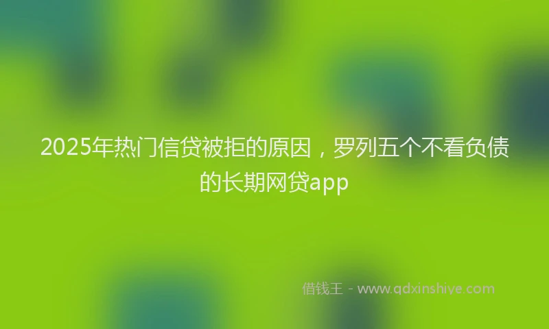 2025年热门信贷被拒的原因，罗列五个不看负债的长期网贷app