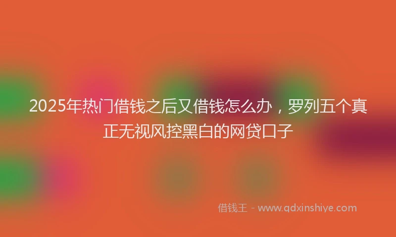 2025年热门借钱之后又借钱怎么办，罗列五个真正无视风控黑白的网贷口子