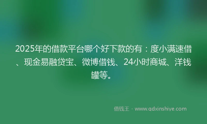 2025年的借款平台哪个好下款的有：度小满速借、现金易融贷宝、微博借钱、24小时商城、洋钱罐等。