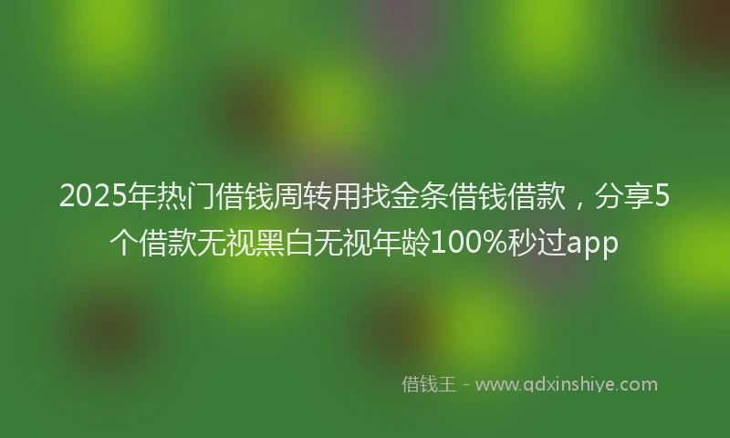 2025年热门借钱周转用找金条借钱借款，分享5个借款无视黑白无视年龄100%秒过app
