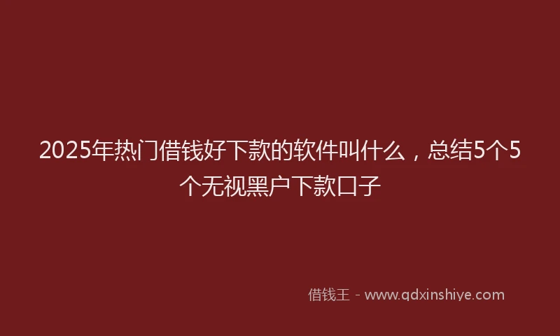 2025年热门借钱好下款的软件叫什么，总结5个5个无视黑户下款口子