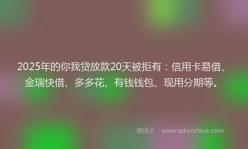 2025年的你我贷放款20天被拒有：信用卡易借、金瑞快借、多多花、有钱钱包、现用分期等。