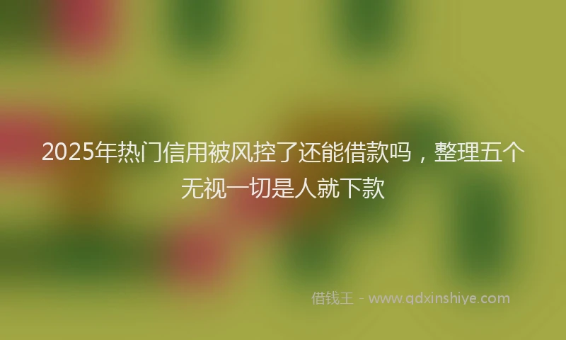 2025年热门信用被风控了还能借款吗，整理五个无视一切是人就下款