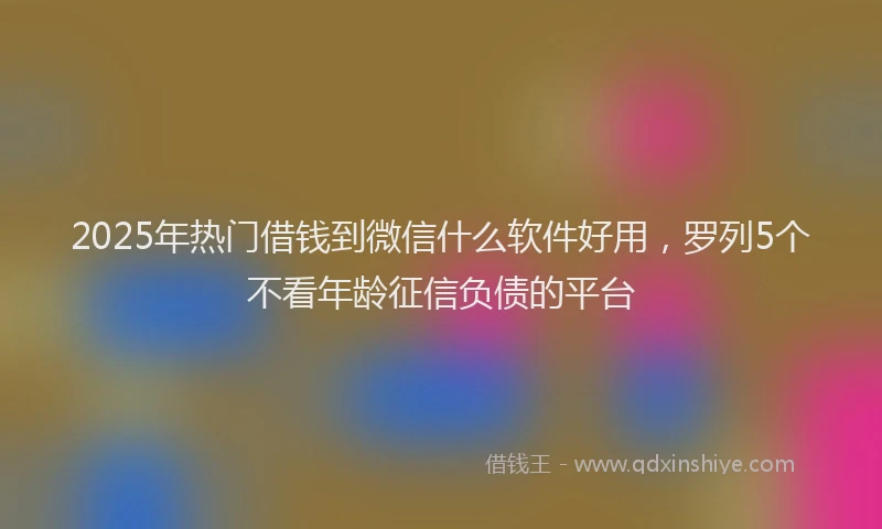 2025年热门借钱到微信什么软件好用，罗列5个不看年龄征信负债的平台