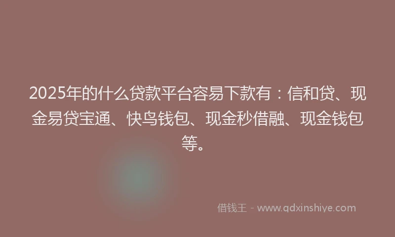 2025年的什么贷款平台容易下款有：信和贷、现金易贷宝通、快鸟钱包、现金秒借融、现金钱包等。