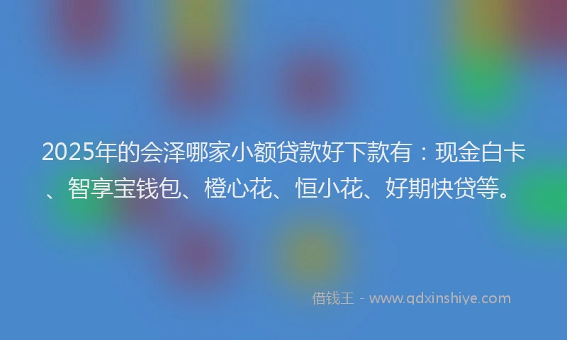 2025年的会泽哪家小额贷款好下款有：现金白卡、智享宝钱包、橙心花、恒小花、好期快贷等。