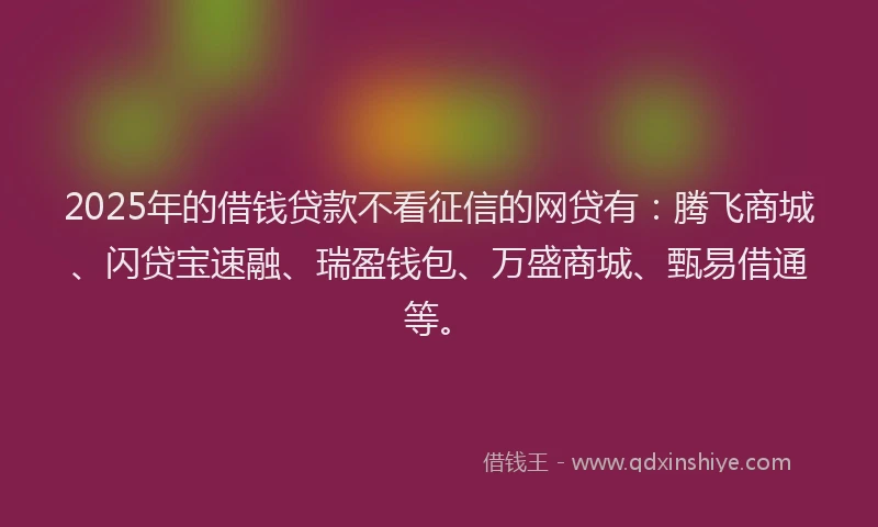 2025年的借钱贷款不看征信的网贷有：腾飞商城、闪贷宝速融、瑞盈钱包、万盛商城、甄易借通等。