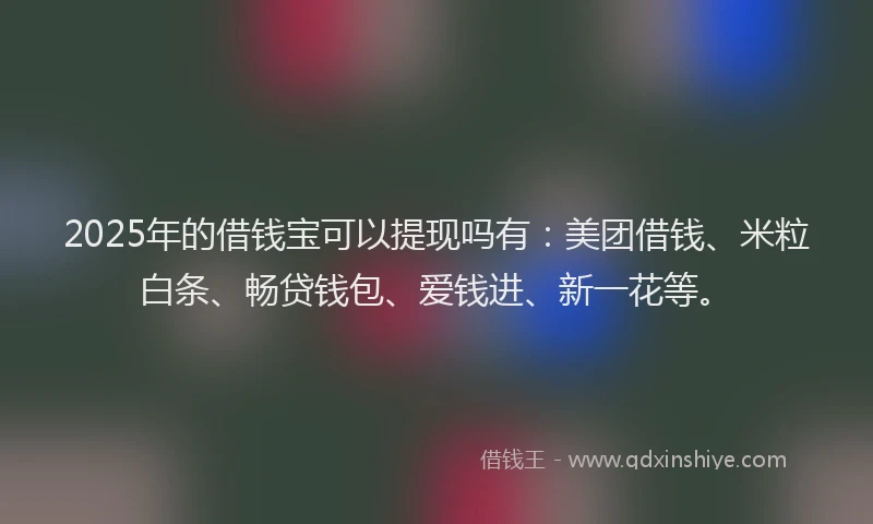 2025年的借钱宝可以提现吗有：美团借钱、米粒白条、畅贷钱包、爱钱进、新一花等。