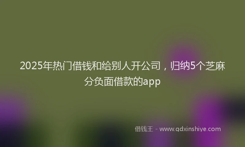 2025年热门借钱和给别人开公司，归纳5个芝麻分负面借款的app
