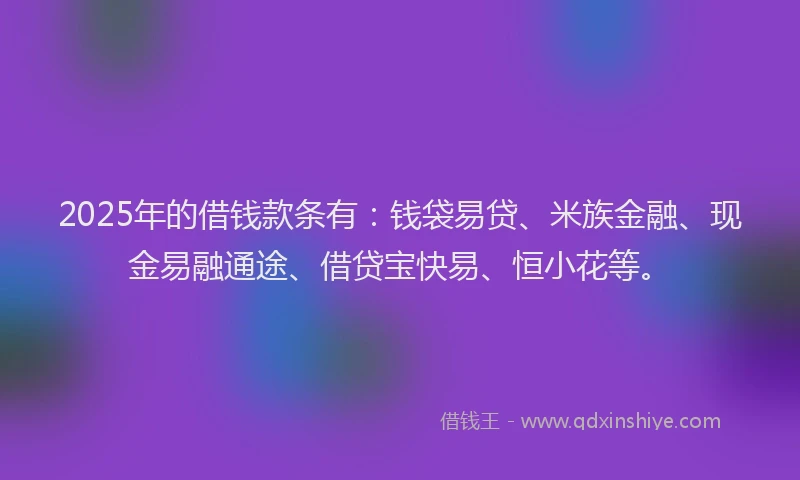 2025年的借钱款条有：钱袋易贷、米族金融、现金易融通途、借贷宝快易、恒小花等。