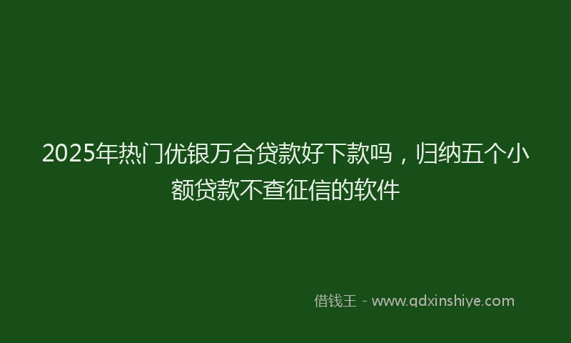 2025年热门优银万合贷款好下款吗，归纳五个小额贷款不查征信的软件