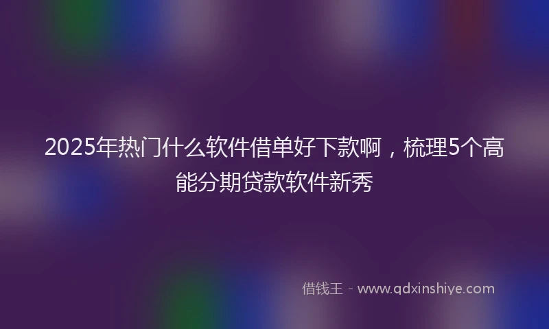 2025年热门什么软件借单好下款啊，梳理5个高能分期贷款软件新秀