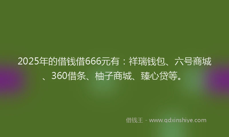 2025年的借钱借666元有：祥瑞钱包、六号商城、360借条、柚子商城、臻心贷等。