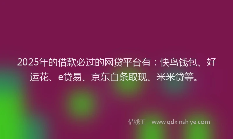 2025年的借款必过的网贷平台有：快鸟钱包、好运花、e贷易、京东白条取现、米米贷等。
