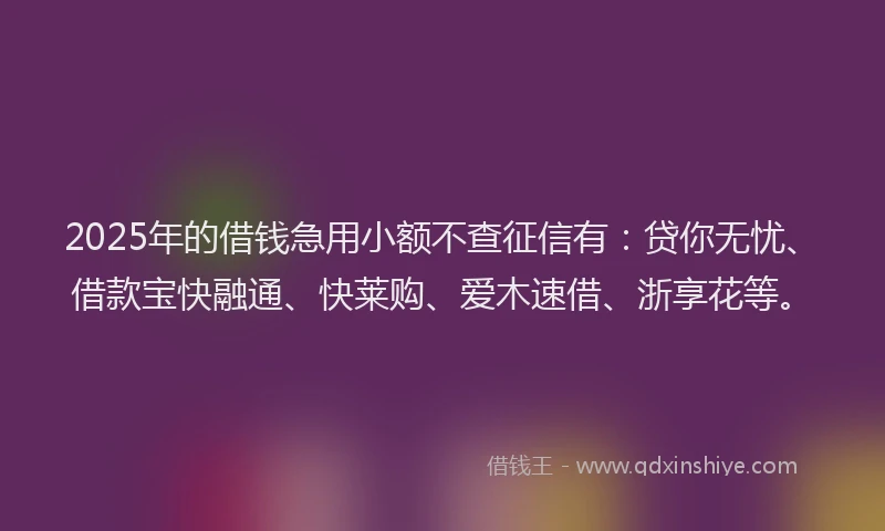 2025年的借钱急用小额不查征信有：贷你无忧、借款宝快融通、快莱购、爱木速借、浙享花等。