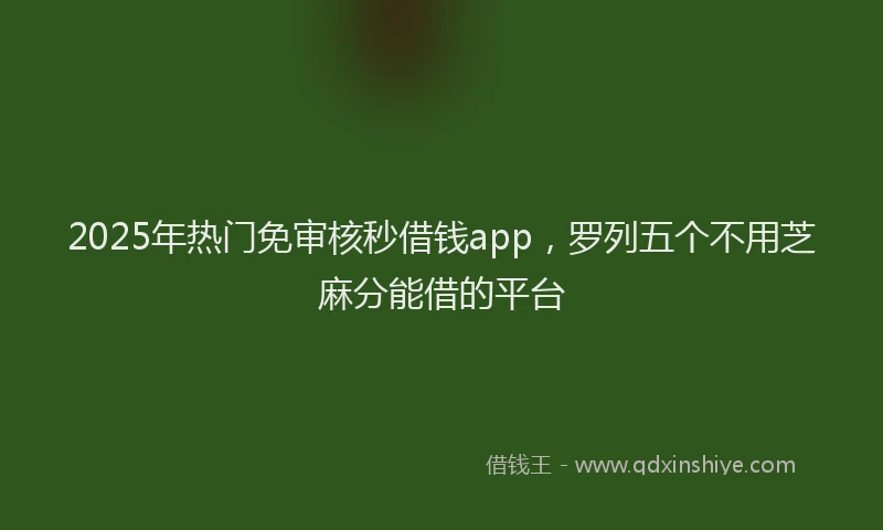 2025年热门免审核秒借钱app，罗列五个不用芝麻分能借的平台