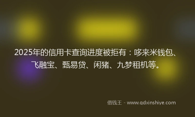 2025年的信用卡查询进度被拒有：哆来米钱包、飞融宝、甄易贷、闲猪、九梦租机等。