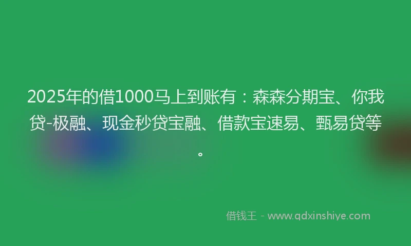 2025年的借1000马上到账有：森森分期宝、你我贷-极融、现金秒贷宝融、借款宝速易、甄易贷等。